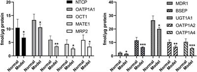 Comparison of pharmacokinetic profiles of seven major bioactive components in normal and non-alcoholic fatty liver disease (NAFLD) rats after oral administration of Ling-Gui-Zhu-Gan decoction by UPLC-MS/MS